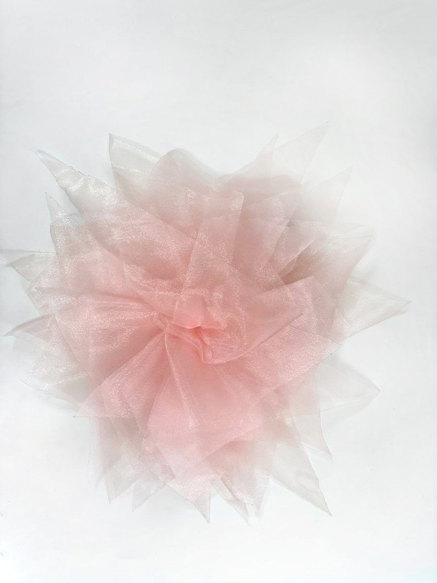 бант 733 розов (2)