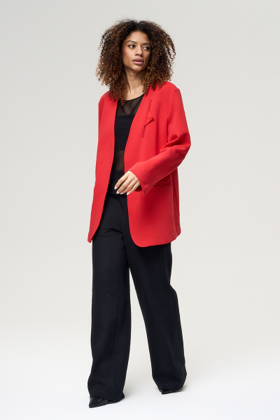 3095 красный (1)